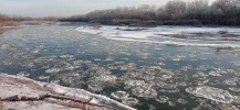 IMG_20241208_145049.webp