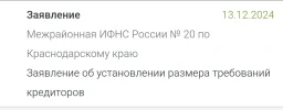 Screenshot_2024-12-15-14-33-13-204_com.yandex.browser-edit.webp