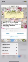 T88r5fObjYY.webp