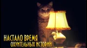 maxresdefault.webp
