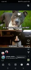 Screenshot_20241220-120613.webp