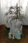 29632.webp