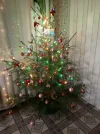IMG_20241218_210151_249.webp