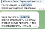 5467376459254457335.webp