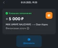 Screenshot_20250109_104623_Ozon .webp