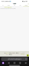 Screenshot_2025-01-17-10-52-45-699_com.yandex.browser.webp