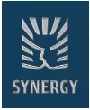 SYNERGY.webp