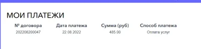 vvvvvvvvvvvvvvvvvvvvvvv.webp