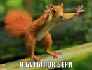 пт.webp