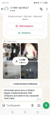 Screenshot_20250130-085427.webp
