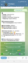 Screenshot_2025-02-04-21-15-07-820_org.telegram.messenger.webp