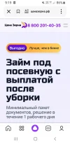 Screenshot_20250210-091901_Yandex Start.webp