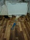 IMG_20250211_174024.webp