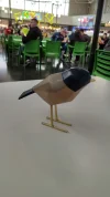 5233290725758723142.webp
