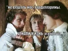 pic.webp