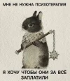 bf5eb57a609aa5683bcf8da0f850d8c6.webp