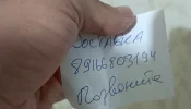 1740670240726.webp
