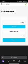 Screenshot_2025-03-04-11-32-21-547_com.yandex.browser.webp