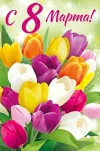 IMG_20250308_103351.webp