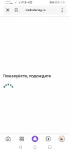 Screenshot_20250311_213543_ru.yandex.searchplugin.webp