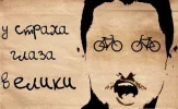 5c21779s-960.webp