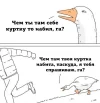 cHLdcEG2q4c.webp
