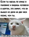 IMG_20250329_095412_612.webp