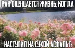 1743237173628.webp