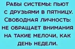 13220296.webp