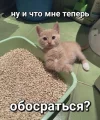 sZmGP3ig8wTs69JTZrxpkVAwhJ1bRCh5d0RasuWPiMkM78jTykKscyB8v9QVEU0BKojvA-mlXZTRMi3bDRJmcIkr.webp