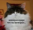 IMG_0457.webp