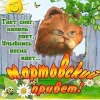 183d149af51dd107e57203cfc51d73fa.webp