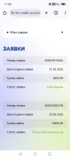 Screenshot_20250331_110401_com_android_chrome_ChromeTabbedActivity.webp