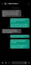 Screenshot_20250331_171359_Messages.webp
