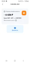 Screenshot_20250331-222304_OZON.webp