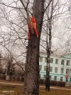 IMG20250402160737.webp