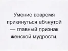 25f677fe185d9949f6af10b0985e5c6a.webp