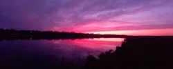 1743617162.webp