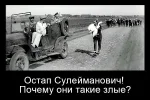 гусь.webp
