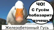 гуся.webp