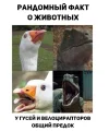 mhdMG696vo3AzTWHEP6MBv7JE4Jmg-lWA4S7XXpvArLL2KoCFzQGldiBcI5yVc-Zg7nILf3kBCxFMiTzziyC4ds8.webp