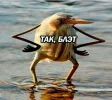 965b0132433f8d8e8933238aebbddd0b.webp