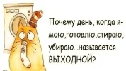выходной.webp