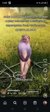 Screenshot_20250413-142242.webp