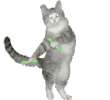 IMG_5597.gif