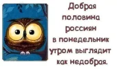 понедельник.webp