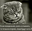 747c429618f54d31acf33fbef51bc79e.webp