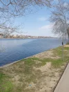 IMG20250415113714.webp