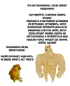 IMG_20250420_111022_048.webp