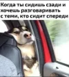 Screenshot_20250422_152955_com_yandex_browser_YandexBrowserMainActivity.webp
